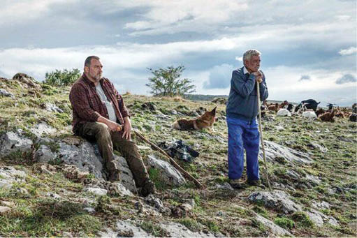 ۹ جایزه اسکار اسپانیا برای «جانوران»