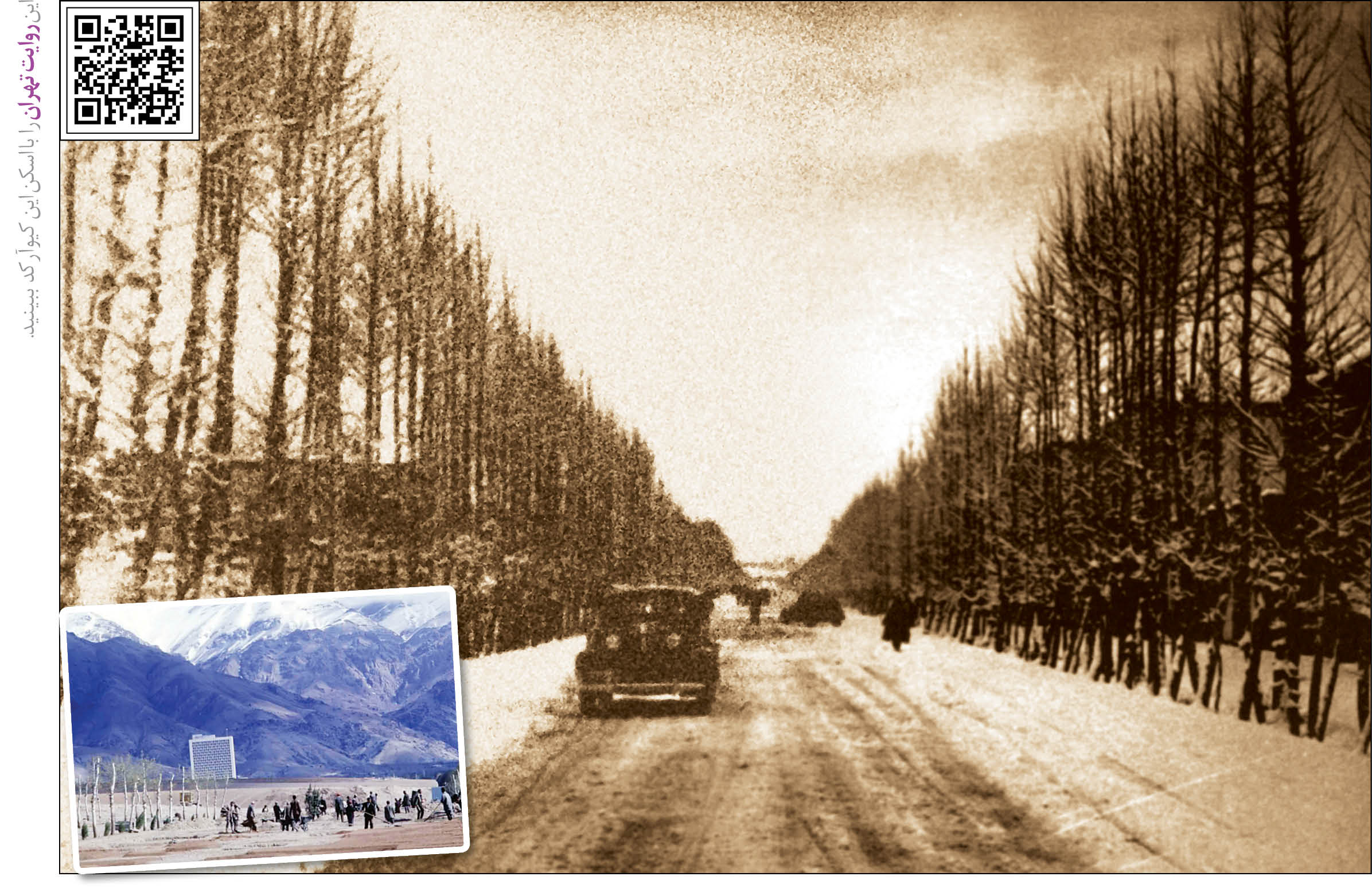 چنارهای خیابان ولیعصر عج ریشه در محله کن دارد