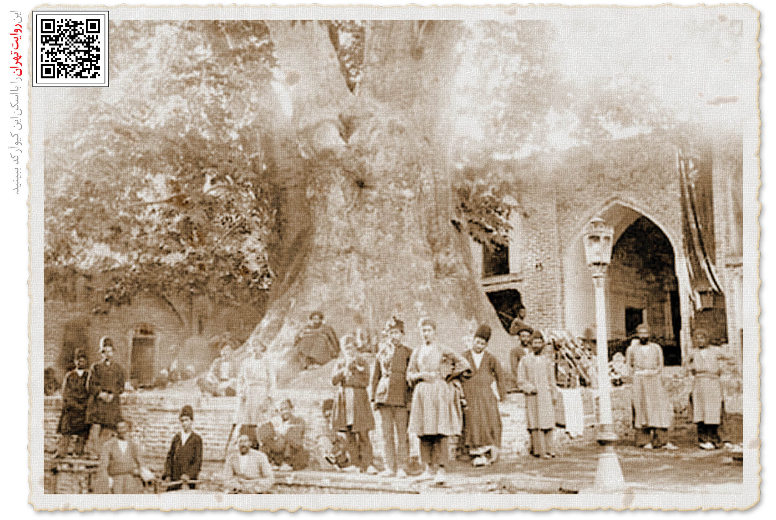 درخت قدیمی محله تجریش روزگاری کفاشی و قهوه‌خانه بود