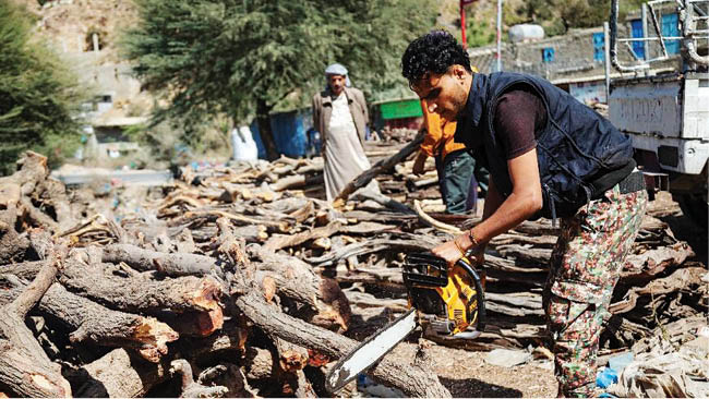 زخم جنگ بر چهره محیط‌زیست یمن