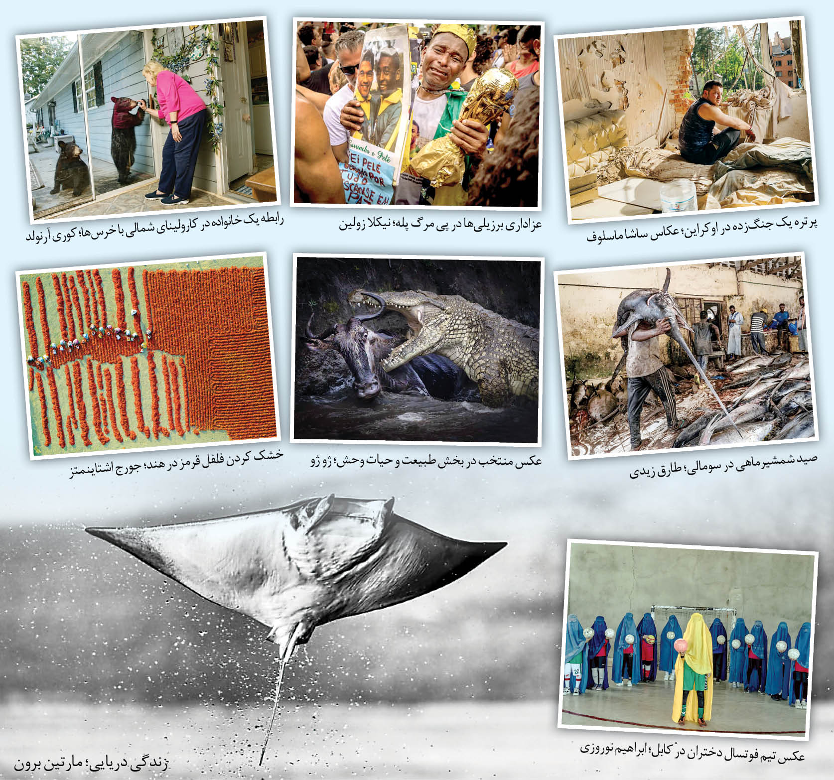 خلاصه دنیا در بهترین عکس‌های سال