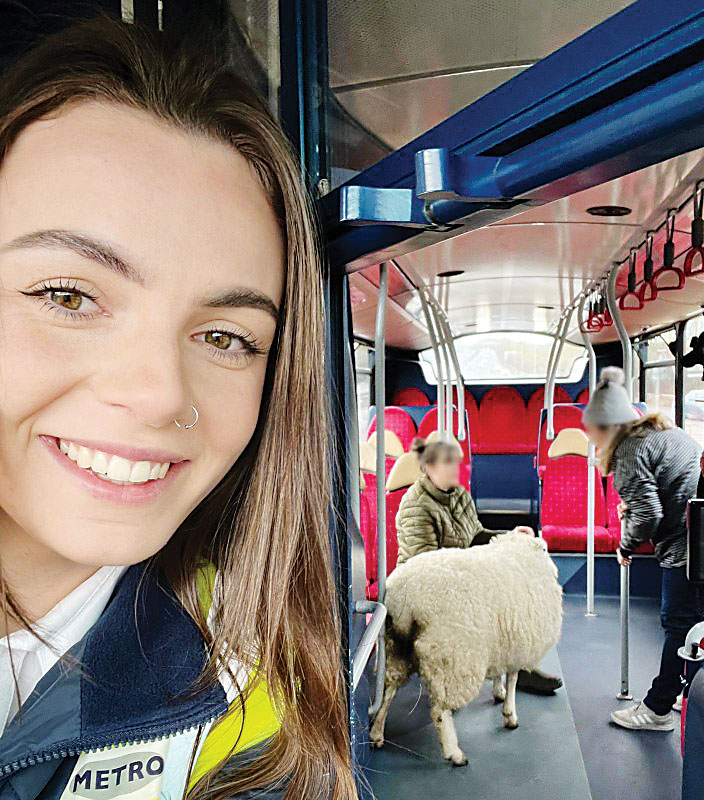 اتوبوس‌سواری گوسفند