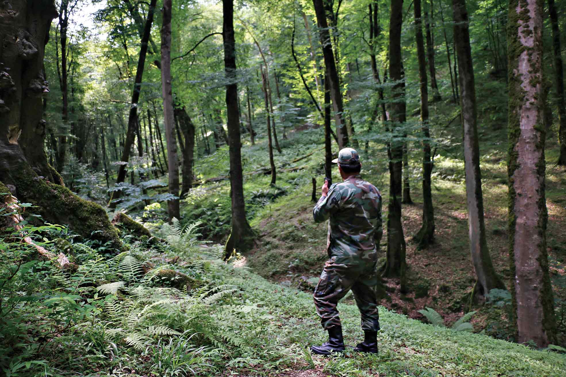 اهمیت نگهداری از یک میلیارد اصله نهال کاشته شده