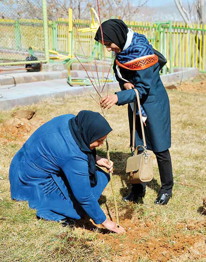 سهم 30میلیونی لرستان در طرح کاشت یک میلیارد نهال