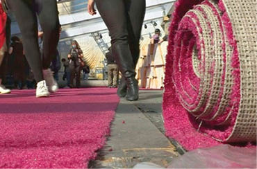 اسکار ۲۰۲۳ بدون فرش قرمز