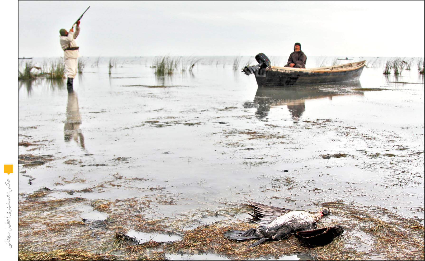 کاهش شکار در ایران