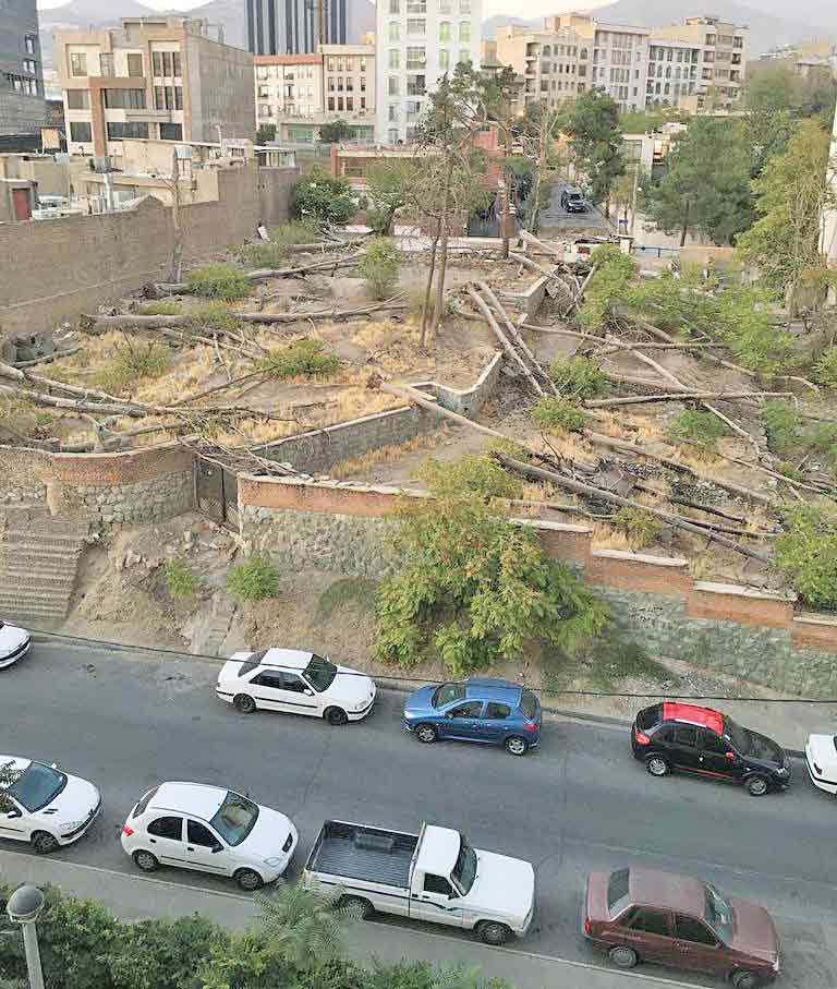 تصاویر درختان باغ‌فیض برای سال94 است