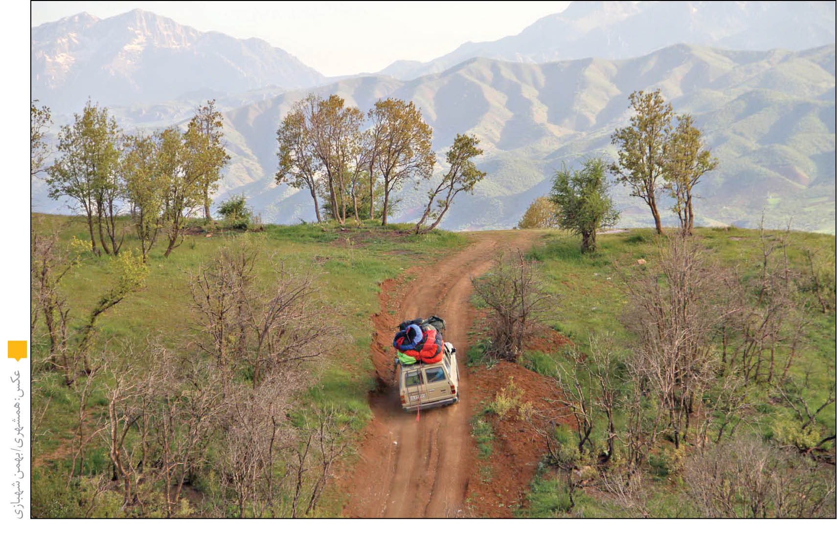 98 درصد آتش‌سوزی جنگل‌ها کار انسان‌هاست