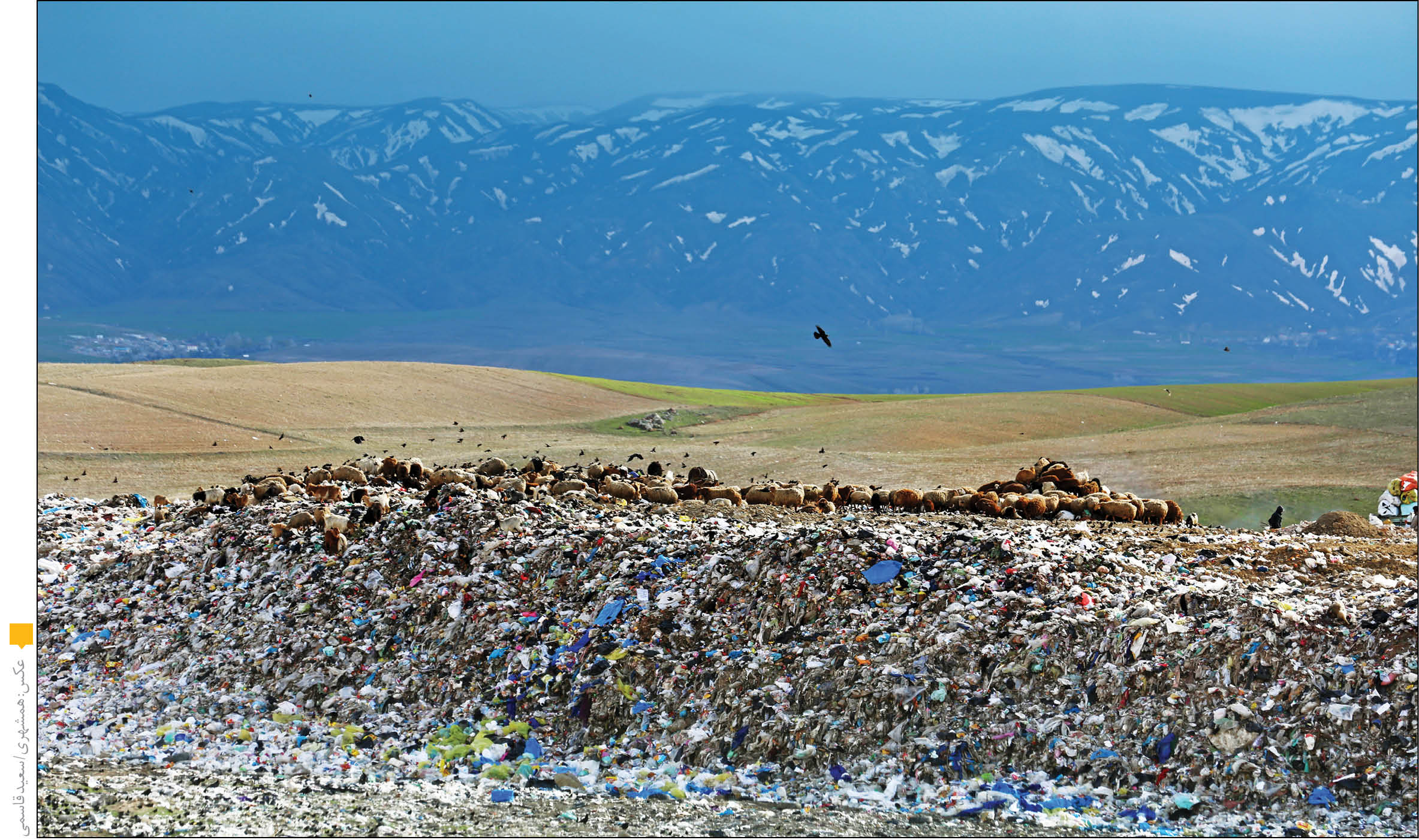 عزم دولت برای مقابله با کیسه‌های پلاستیکی