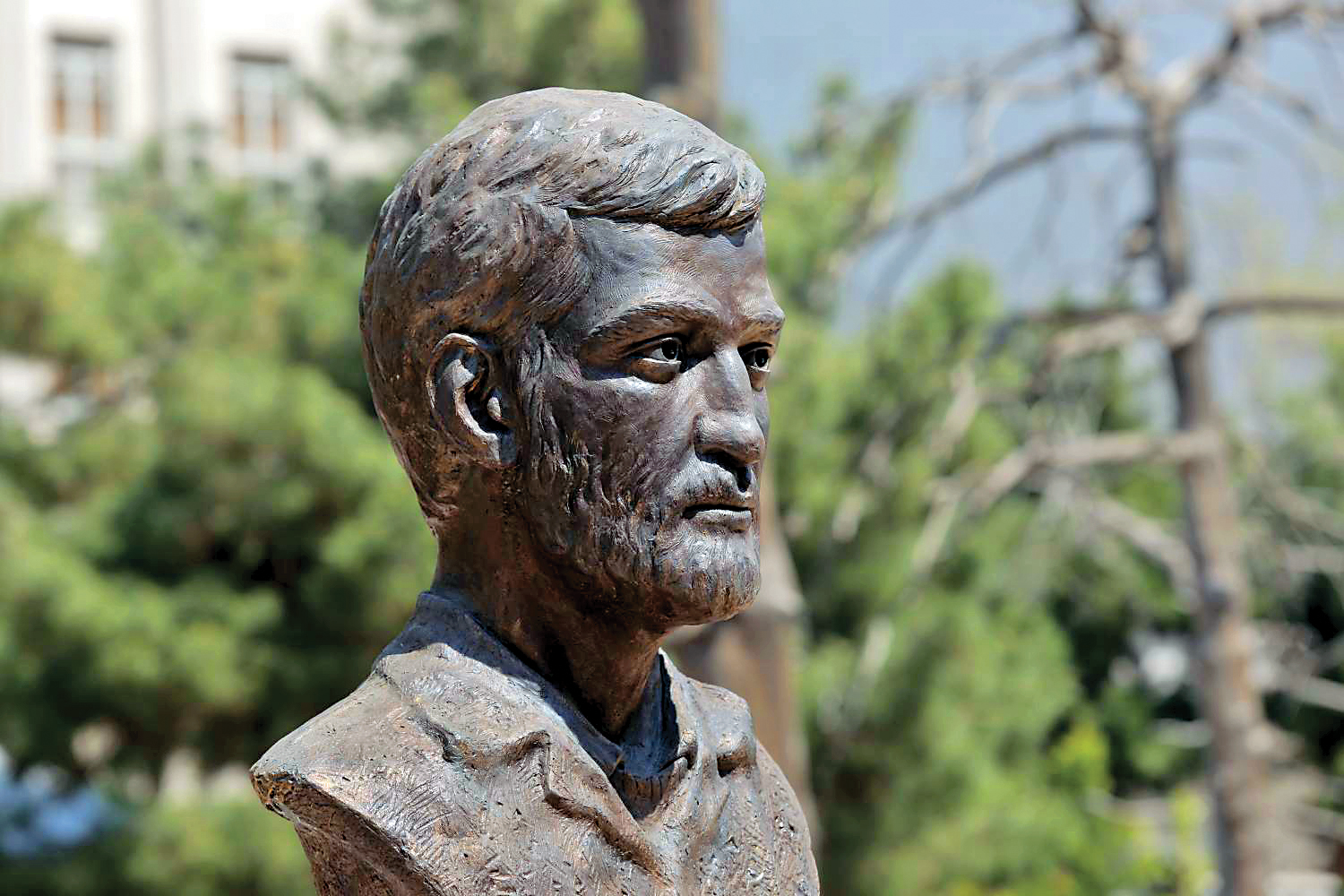 سردیس سردار احمد متوسلیان رونمایی می‌شود