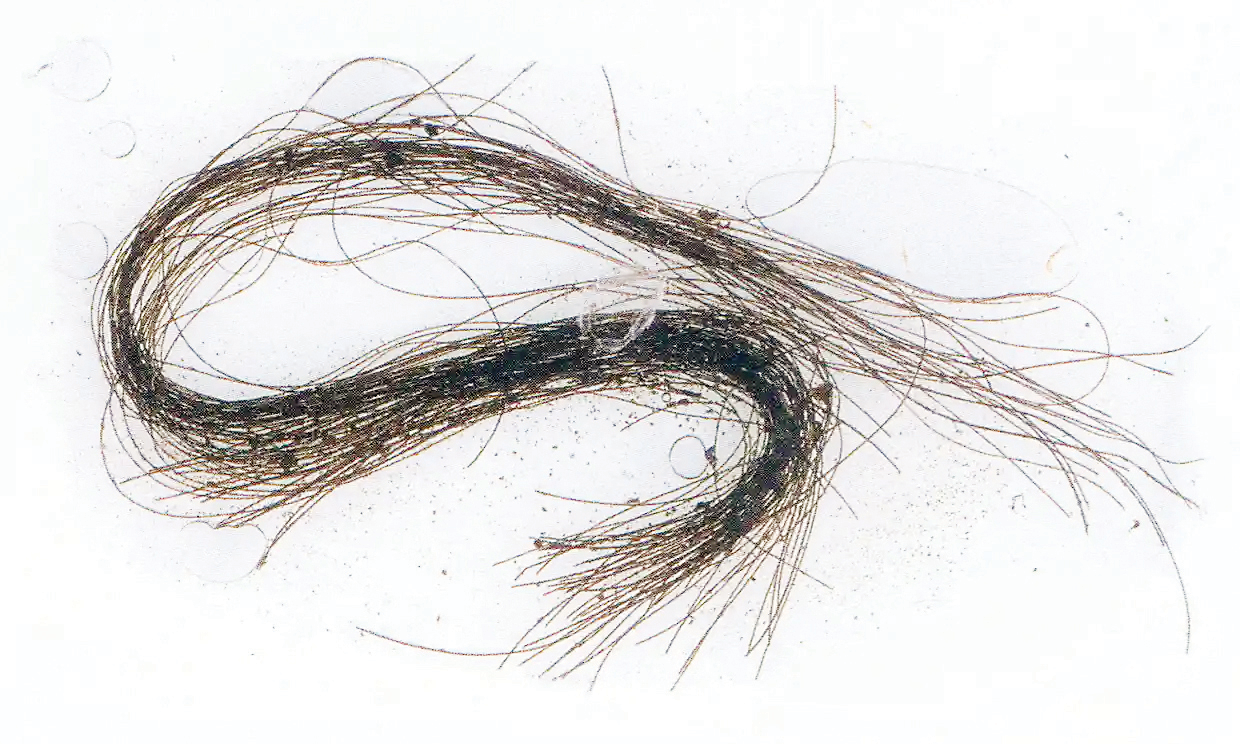 مواد‌مخدر در عصر برنز