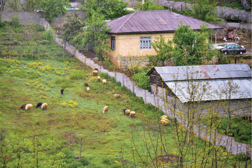 ‌اصالت یک روستا