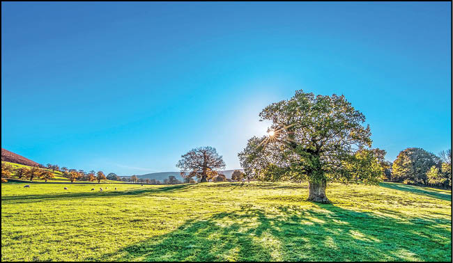 اتمسفر زمین، خودش را تمیز می‌کند