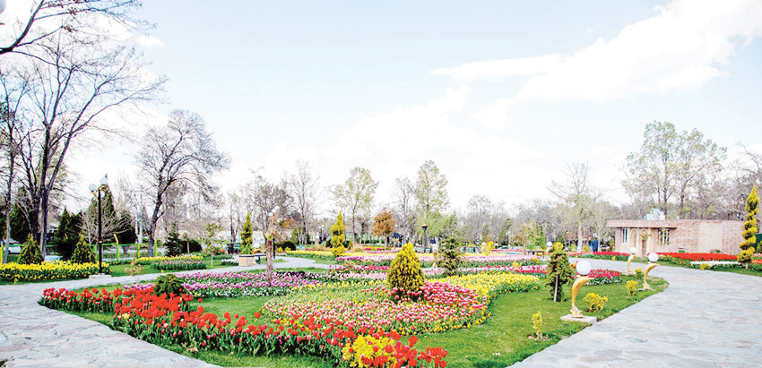 ۱۰هزار لاله زیبا و رنگارنگ