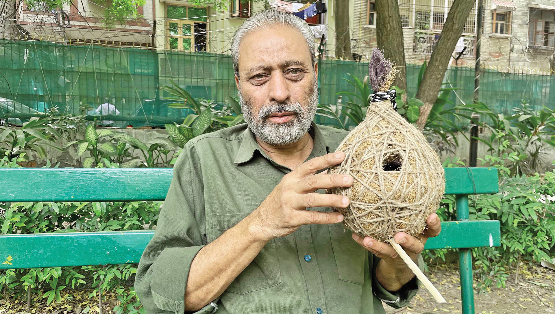 پدر همه گنجشک‌ها