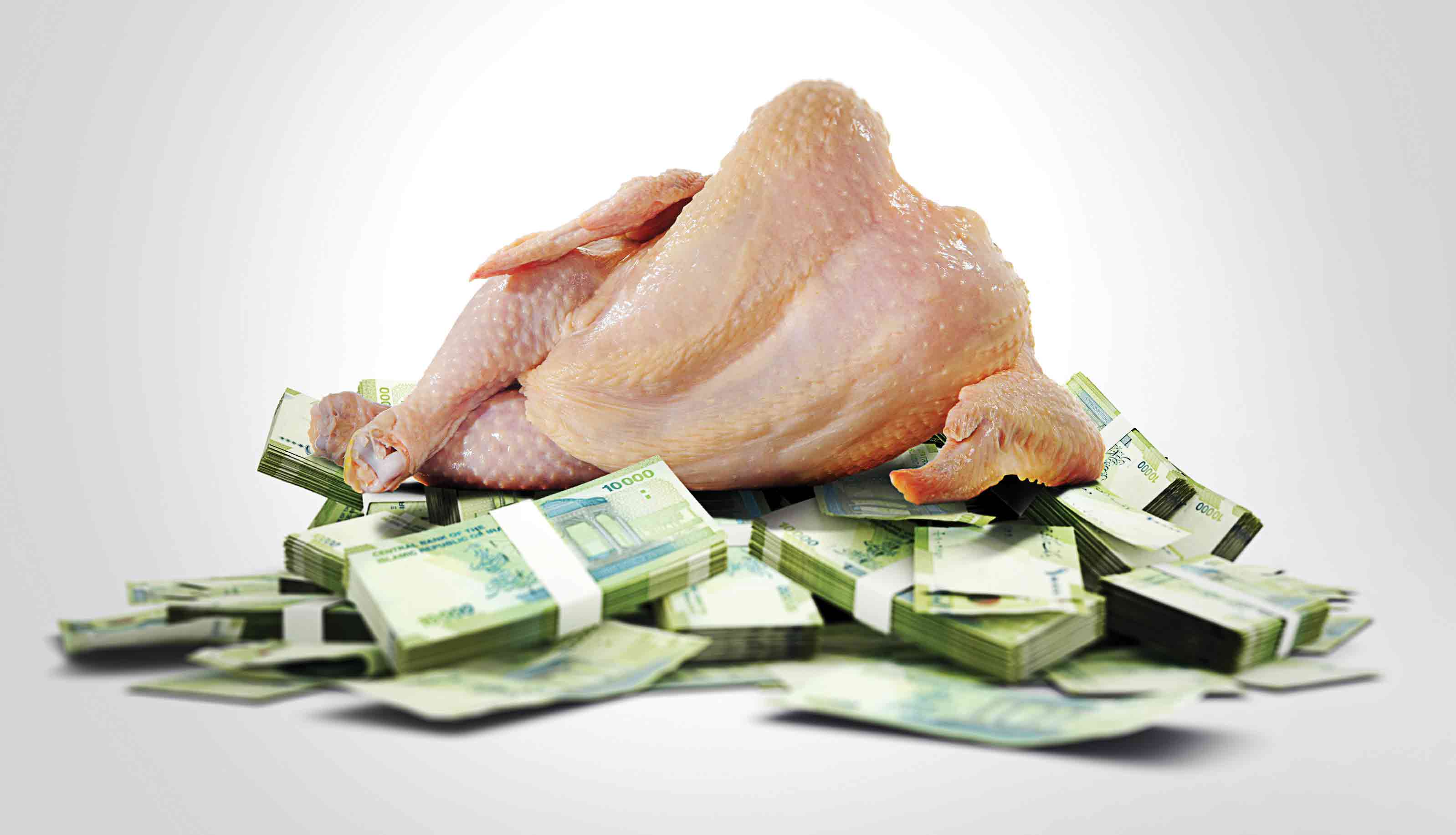 مرغ از سبد پرید