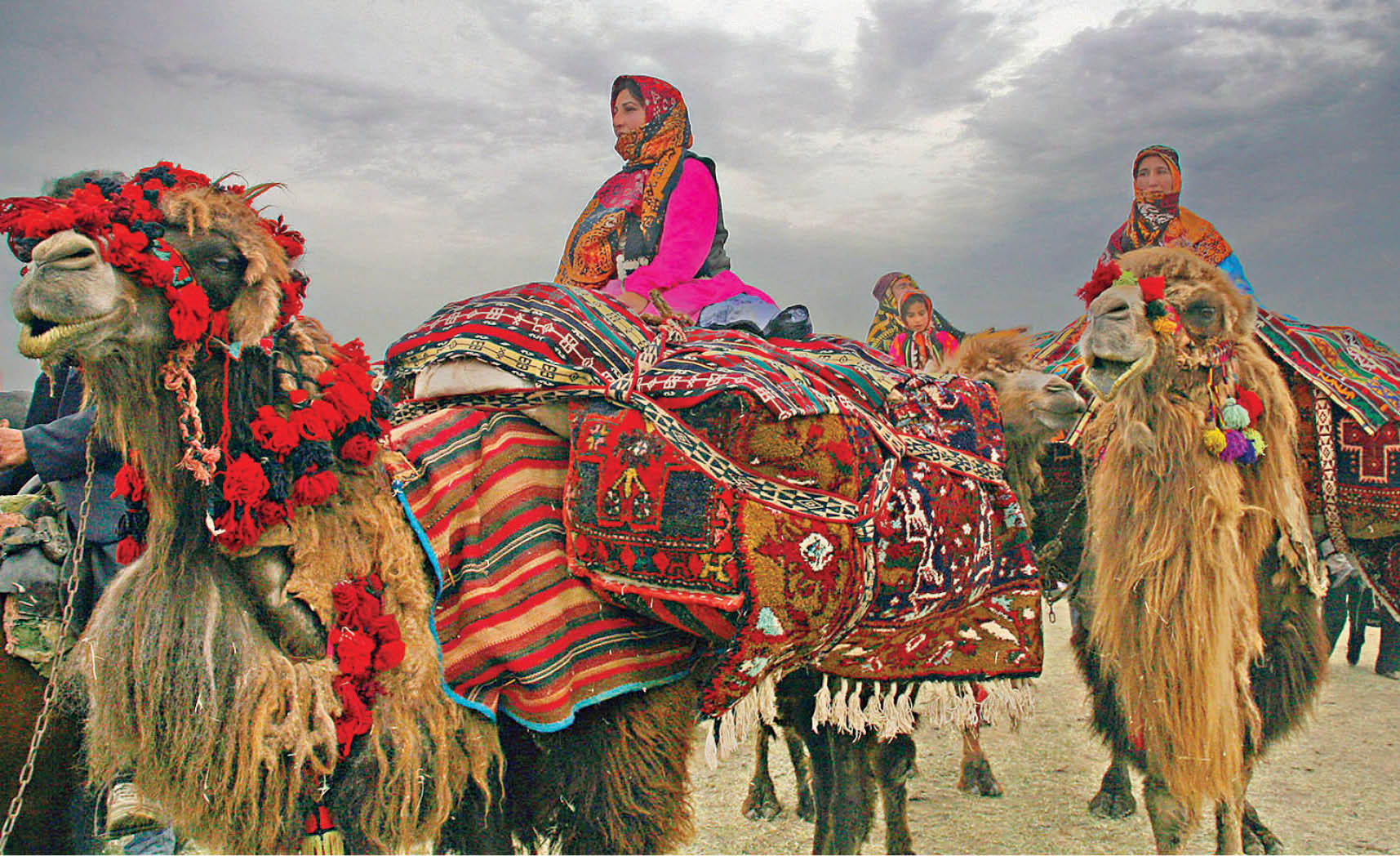 به تماشای کوچ