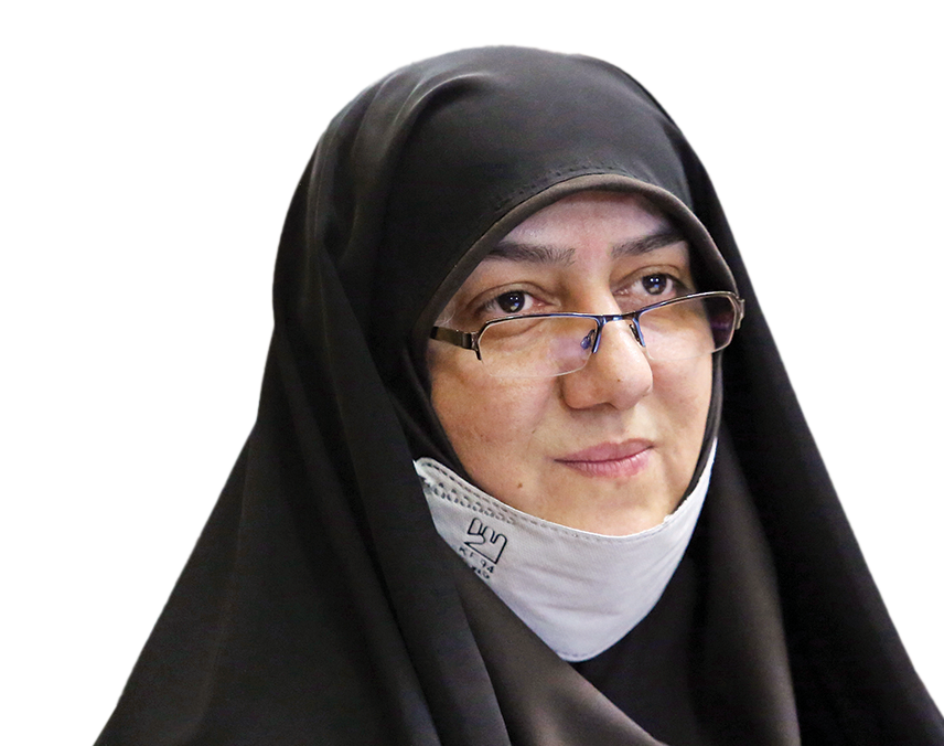 تکمیل قانون شوراها