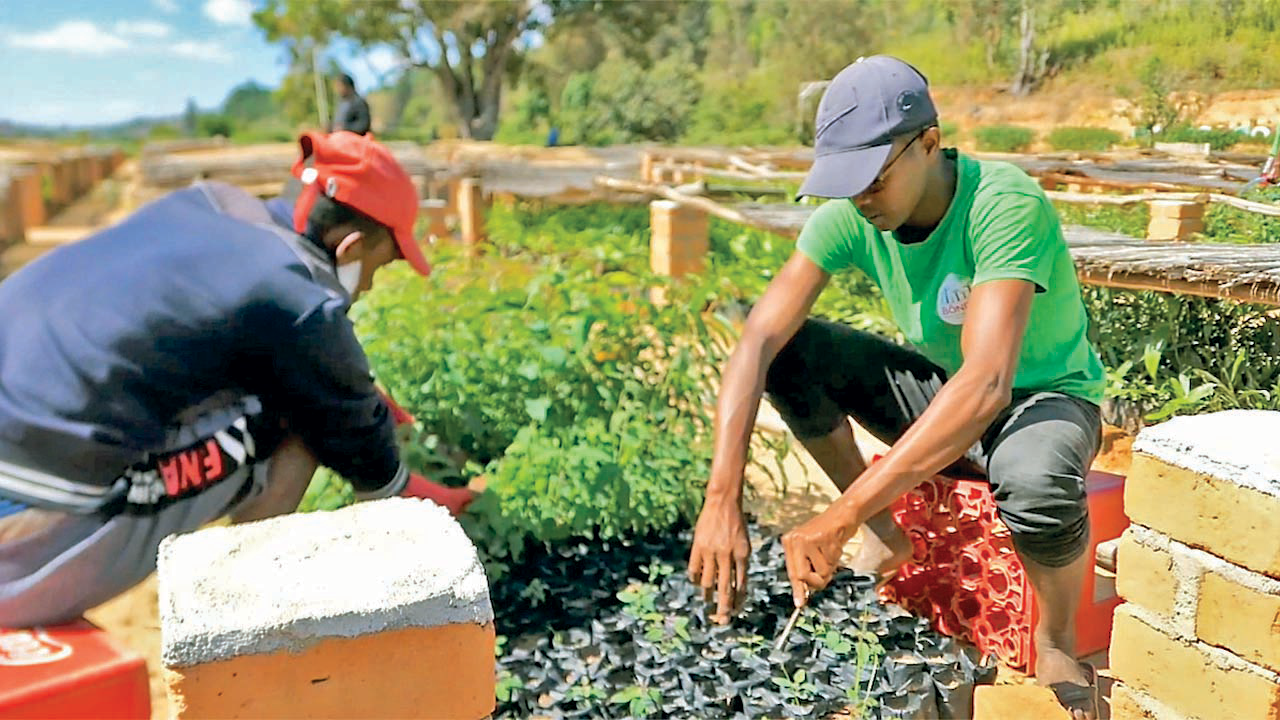 کار در ازای علم