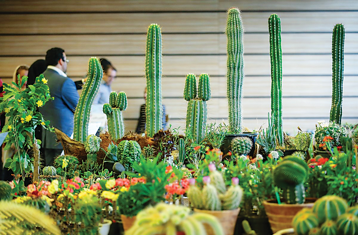 گفت‌وگو با گل‌ها