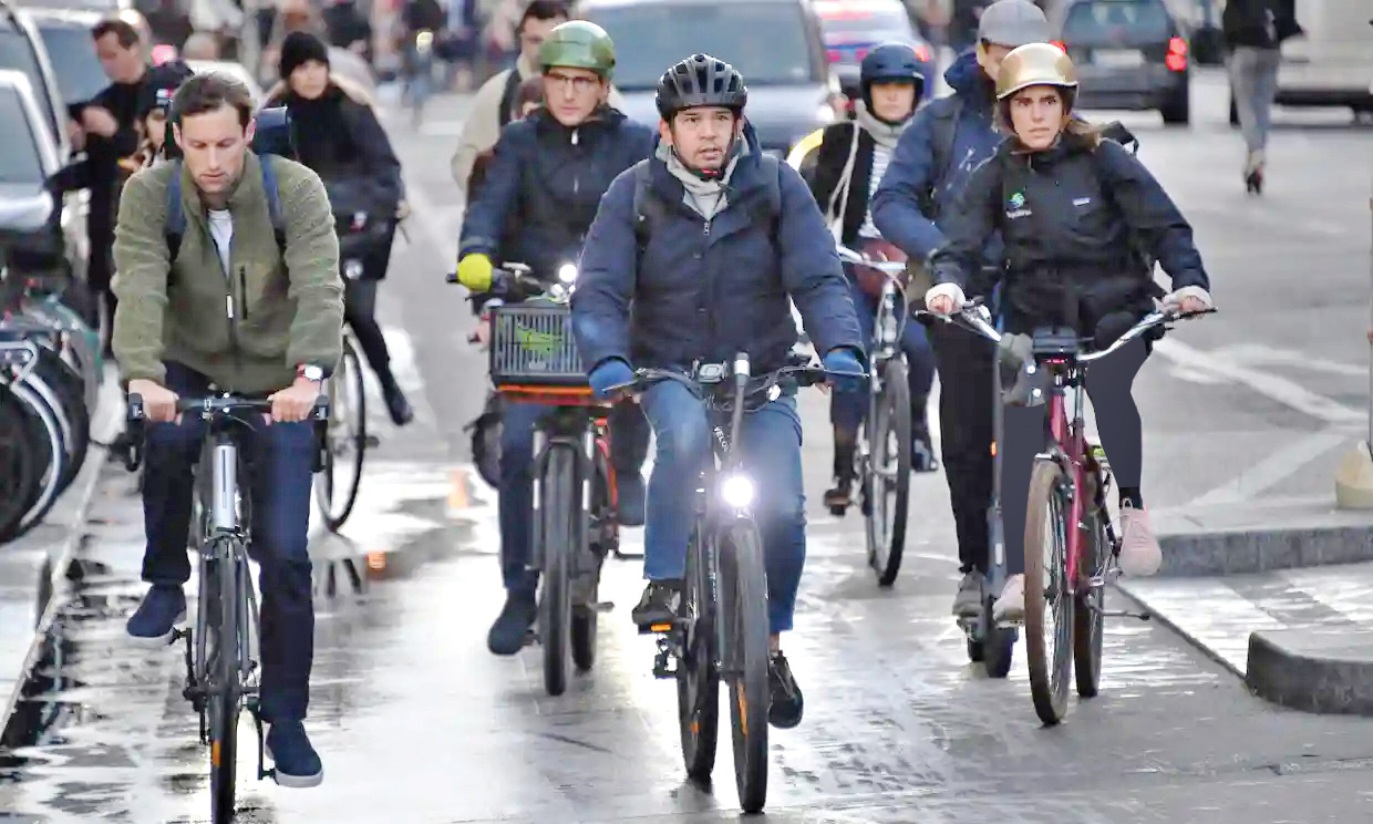 دورویی محیط‌زیستی