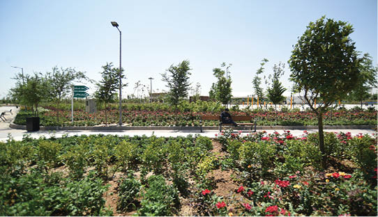 بوستان ایرانیان در جنوب غرب تهران از چندماه قبل میزبان مراجعان است