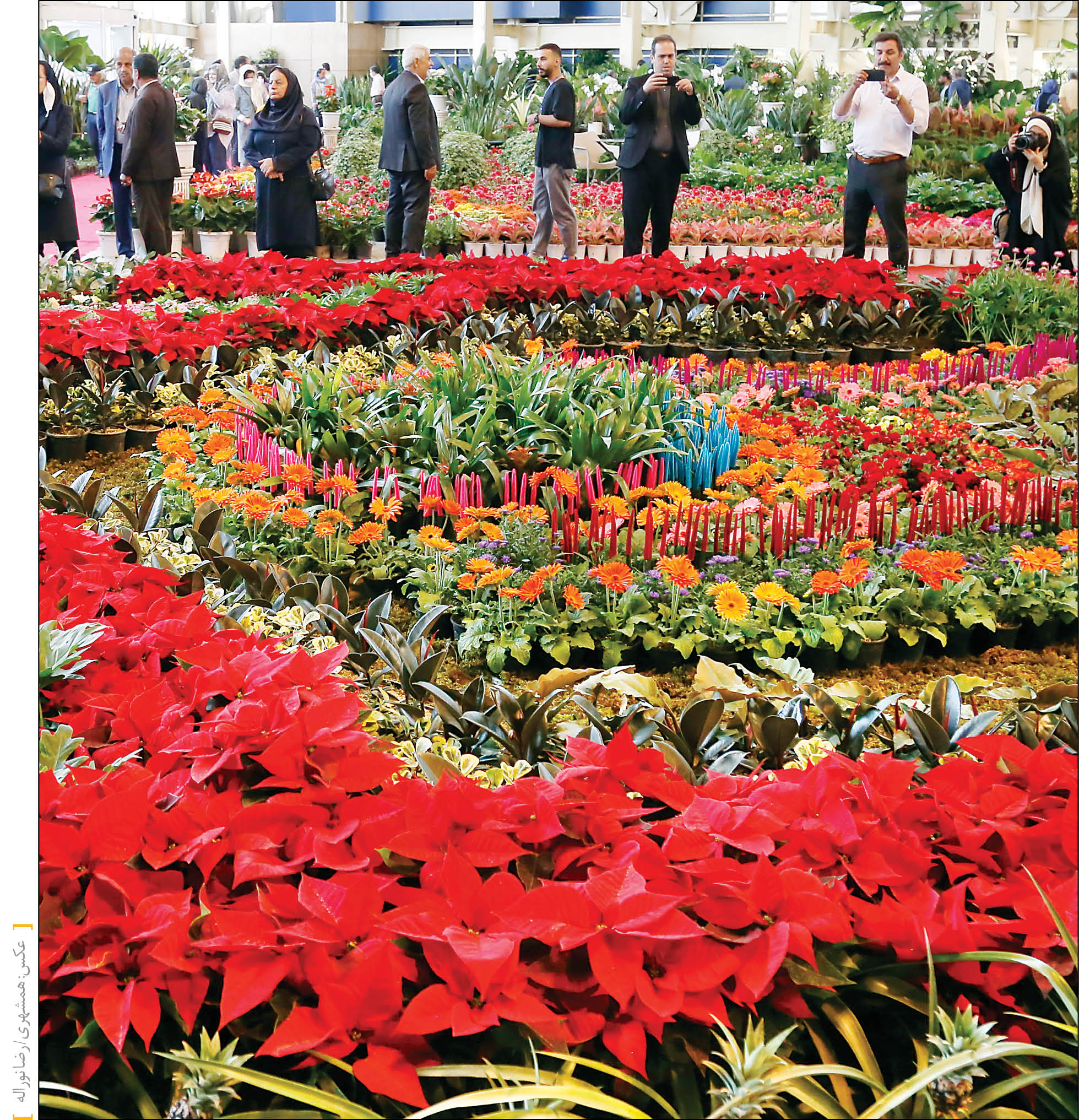 گل‌های جهان در تهران