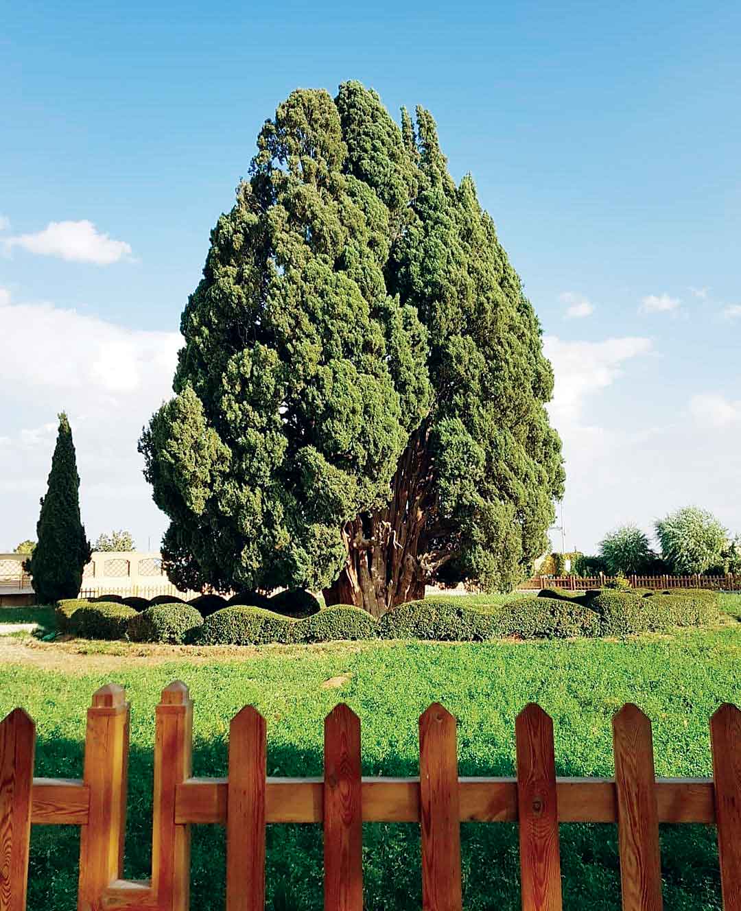 جهان در شگفت از آزاده تهیدست