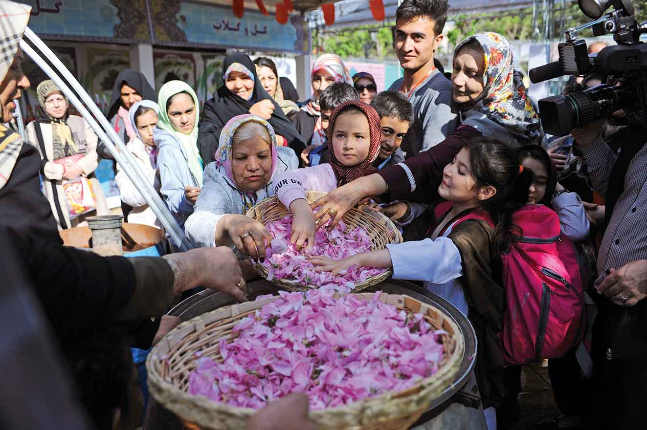 عطر گل و گلاب در تهران پیچید