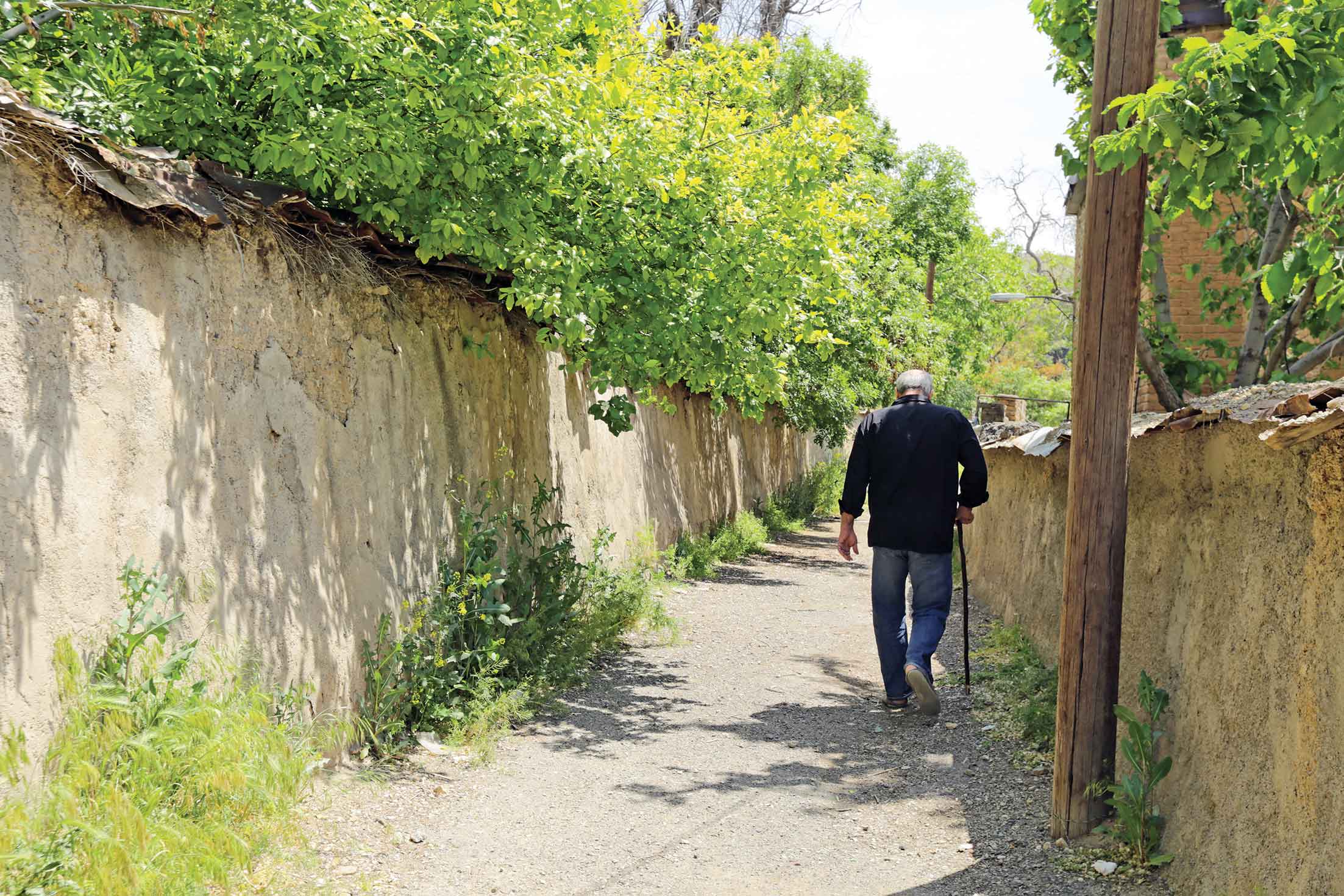 یک دل سیر هوای تازه