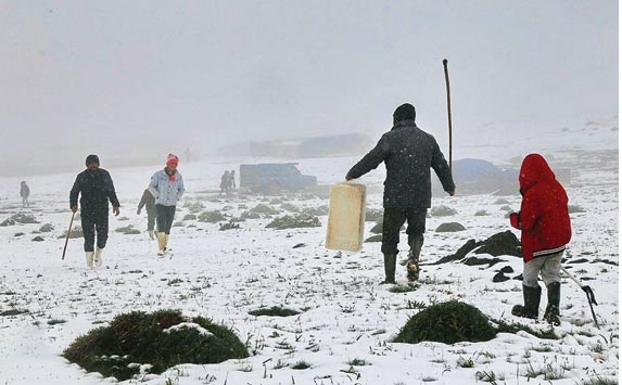 هوا زمستانی‌ شد