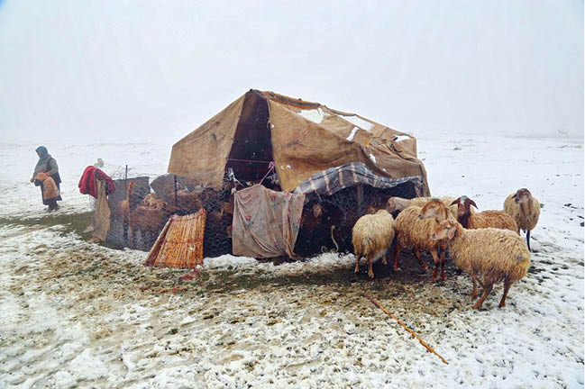 نجات عشایر از برف