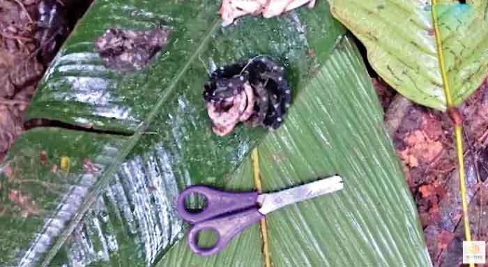 نجات معجزه‌آسای کودکان