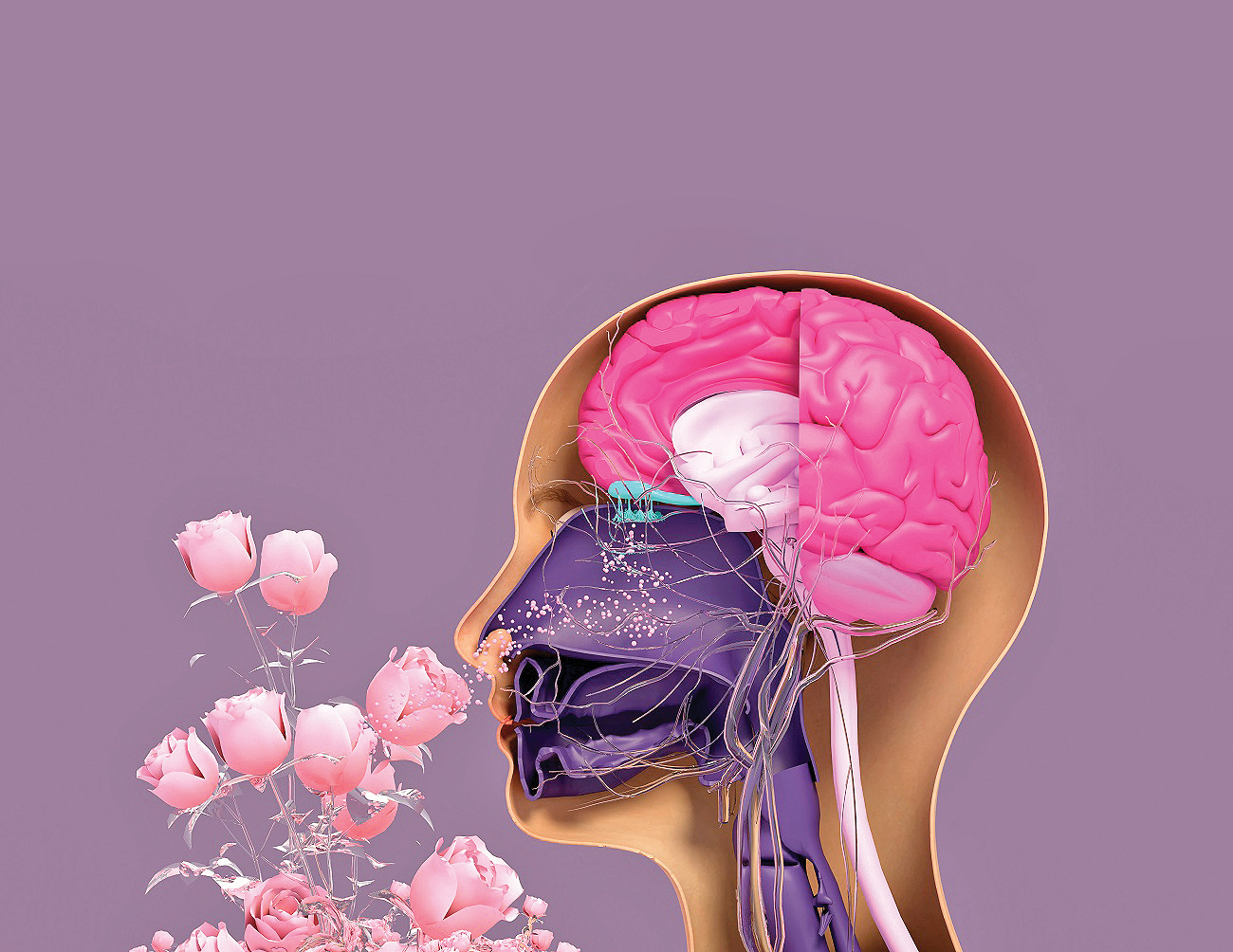 چگونه از بروز آلرژی عطری جلوگیری کنیم؟