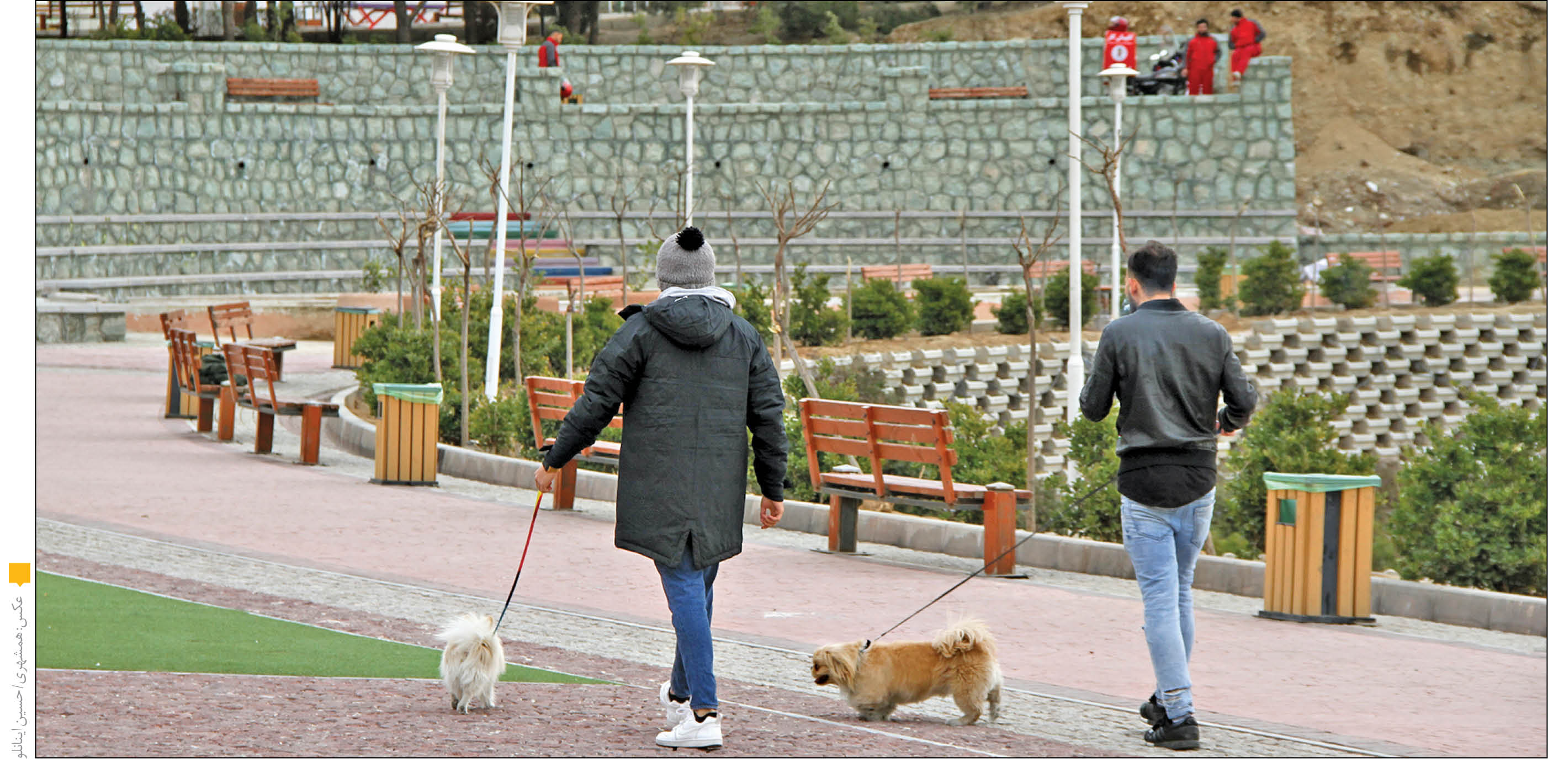 سگ‌ها همچنان قربانی می‌گیرند