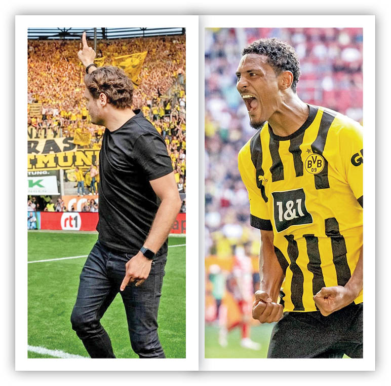 یک نیش تا قهرمانی