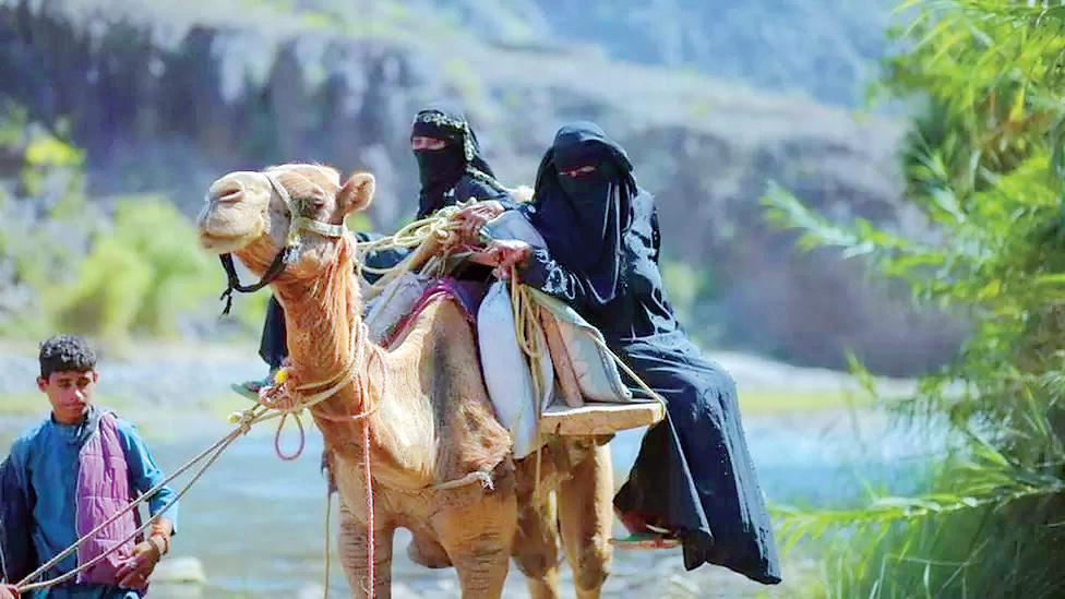 اعزام به زایشگاه با شتر