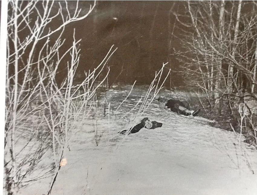 یکی از معروف‌ترین پرونده‌های جنایی کانادا پس از سال‌ها به نتیجه رسید