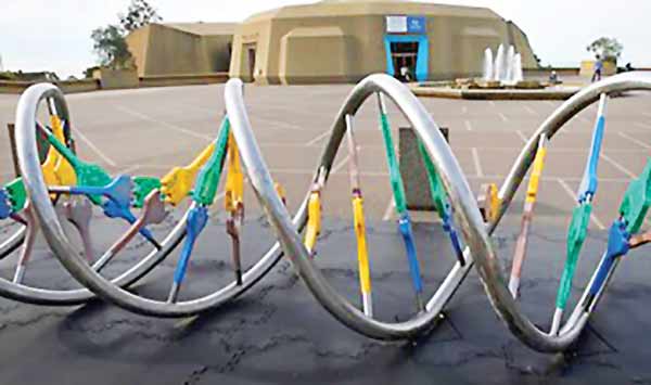 ژن تصمیم‌گیری پیدا شد