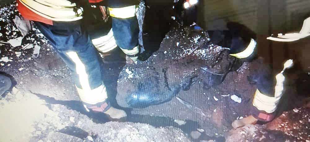 عامل قتل دکتر سرشناس و همسرش اسرار این جنایت را فاش کرد