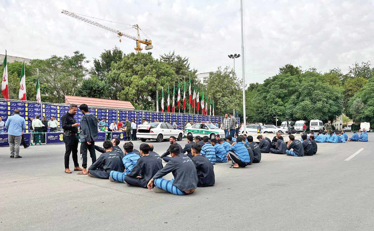 دام قهرمان شطرنج برای زنان