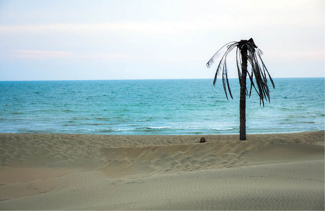 تلاقی کویر و دریا