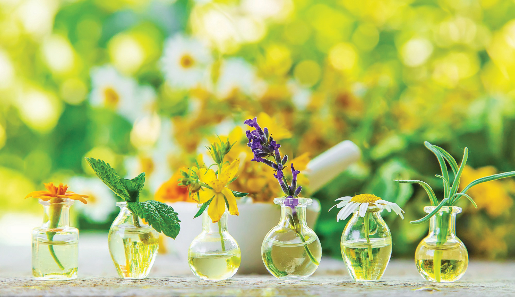 روغن‌های گیاهی موجب سفیدی پوست می‌شوند؟