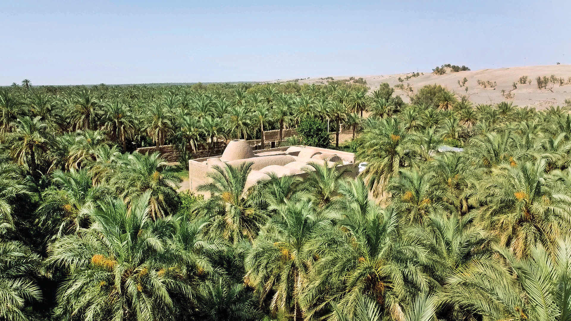 چیلوک‌بافی هنر فصل خوشه‌بندی