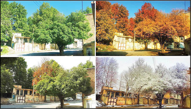 چهارفصل‌بودن ویژگی ممتاز کرمانشاه