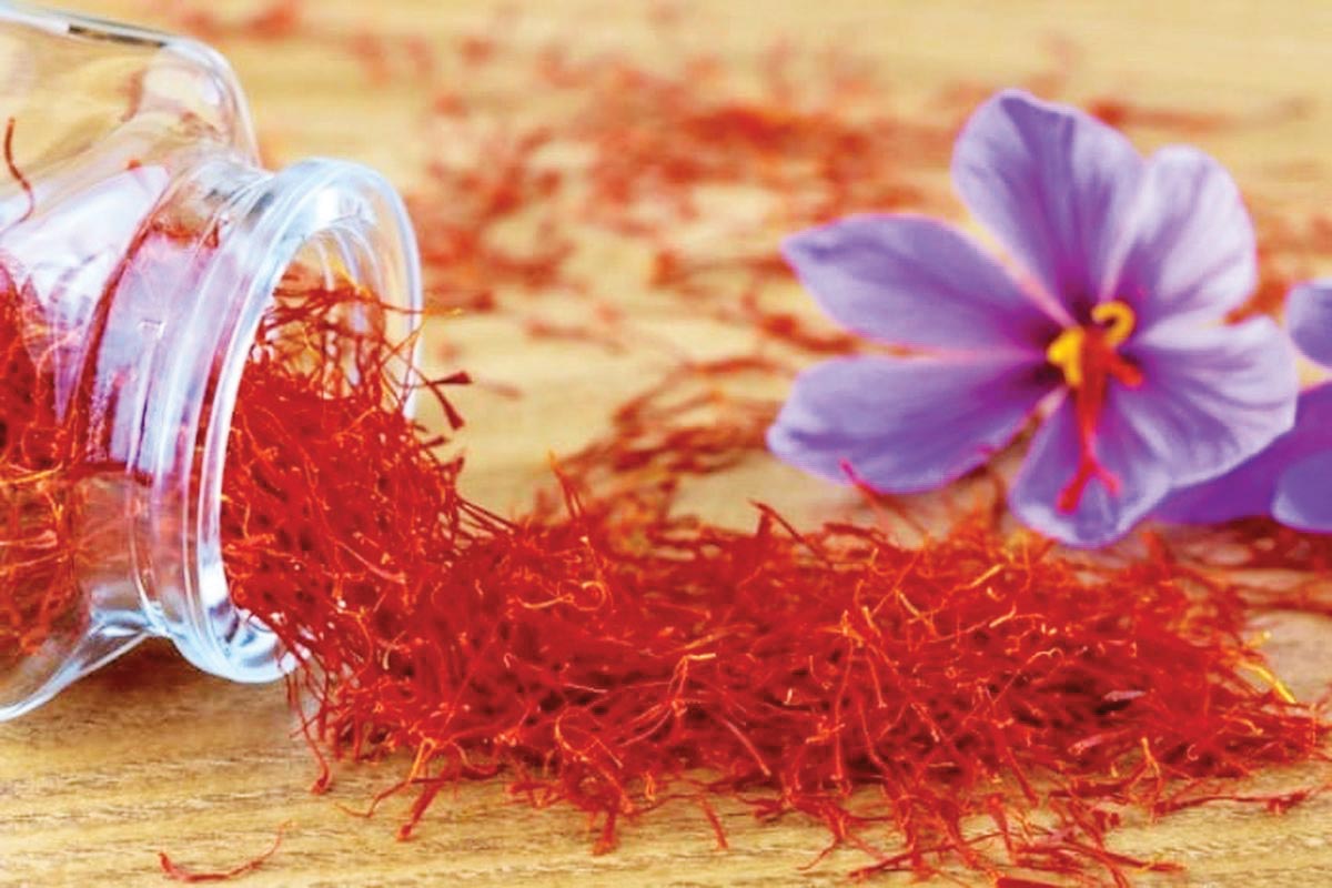 خوشمزگی فراتر از مرزها