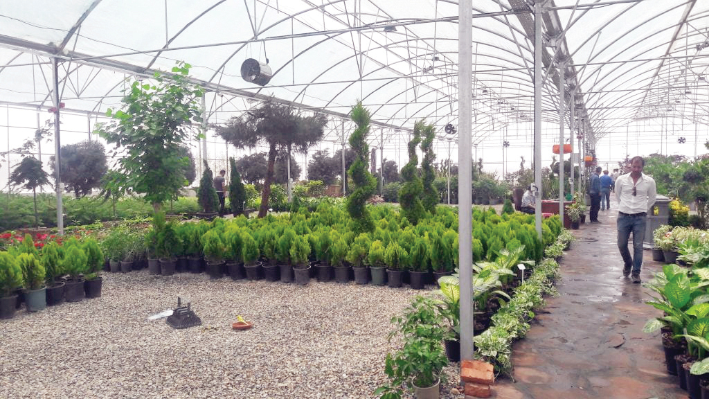 بازار گل و گیاه شهید لشکری