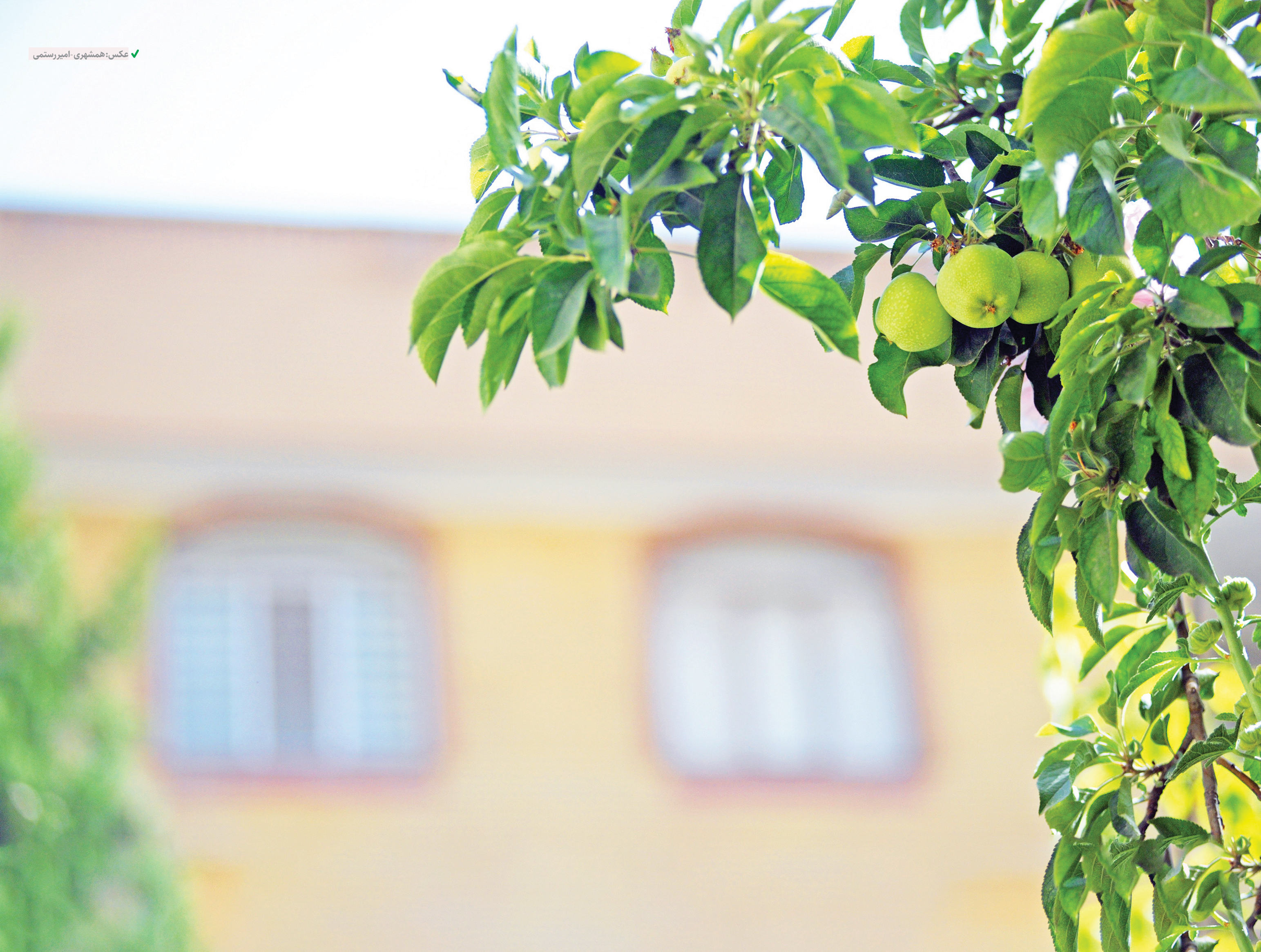 اول باغچه کاشتم بعد خانه ساختم