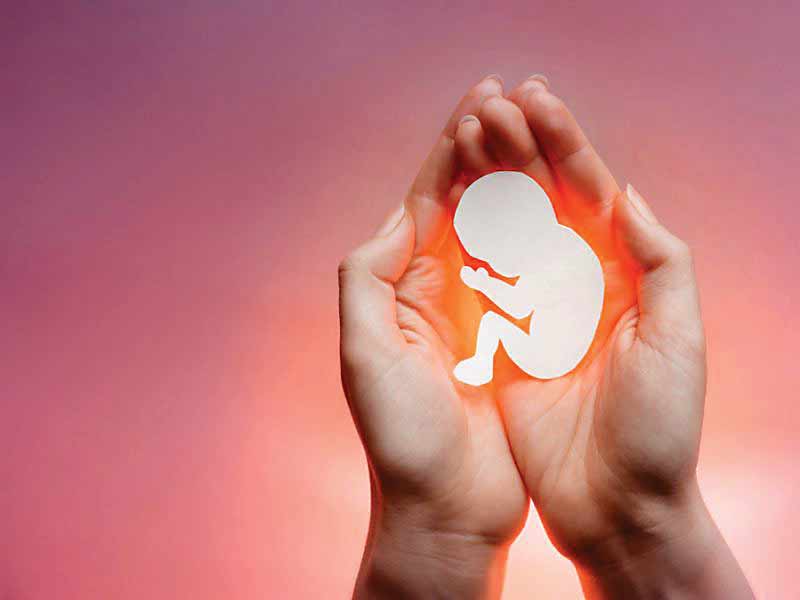 زندگی بن‌بست ندارد