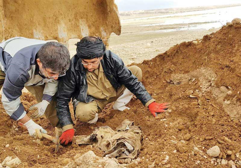 گفت‌وگو با دکتر محمود تولایی، رئیس پیشین مرکز تحقیقات ژنتیک نور و بنیانگذار شناسایی شهدا با انجام آزمایش DNA در ایران